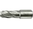 Сверло корончатое TIGER Cut Weldon 19 16х30 мм HSS 4011630 3