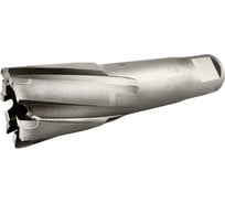 Сверло корончатое TIGER Cut Weldon 19 24х55 мм TCT 5012455