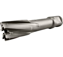 Сверло корончатое TIGER Cut Weldon 19 20х55 мм TCT 5012055