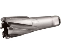 Сверло корончатое TIGER Cut Weldon 19 23х55 мм TCT 5012355