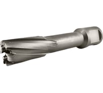 Сверло корончатое TIGER Cut Weldon 19 17х55 мм TCT 5011755
