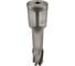 Сверло корончатое TIGER Cut Weldon 19 17х55 мм TCT 5011755 5