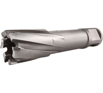 Сверло корончатое TIGER Cut Weldon 19 25х55 мм TCT 5012555