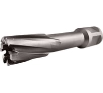 Сверло корончатое TIGER Cut Weldon 19 18х55 мм TCT 5011855