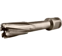 Сверло корончатое TIGER Cut Weldon 19 16х55 мм TCT 5011655