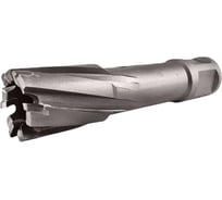 Сверло корончатое TIGER Cut Weldon 19 21х55 мм TCT 5012155