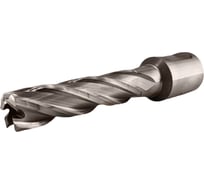 Сверло корончатое TIGER Cut Weldon 19 13х55 мм HSS 4011355