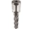 Сверло корончатое TIGER Cut Weldon 19 13х55 мм HSS 4011355 5