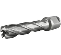 Сверло корончатое TIGER Cut Weldon 19 14х55 мм HSS 4011455
