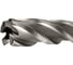 Сверло корончатое TIGER Cut Weldon 19 14х55 мм HSS 4011455 6