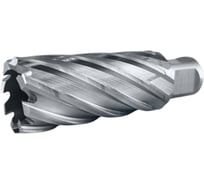 Сверло корончатое TIGER Cut Weldon 19 27х55 мм HSS 4012755