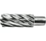 Сверло корончатое TIGER Cut Weldon 19 27х55 мм HSS 4012755 3