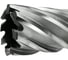 Сверло корончатое TIGER Cut Weldon 19 27х55 мм HSS 4012755 6