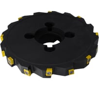 Фреза трехсторонняя Русский Инструмент 250х25х60 с механическим креплением тангенциально расположенных 4гр пл-н CNHQ 1606 Z=16 (2х8) с фланцем AS390-R250.25.08.C60 NOX r ri.181.235