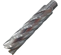 Сверло корончатое PROTON 27x110 HSS УТ000000404