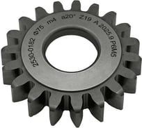 Долбяк дисковый TORNERI M 4.0, z=19, 20, D=76 мм, d=31.75 мм (2530-0182) Т028250