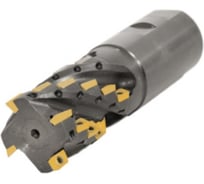 Фреза торцово-цилиндрическая Русский Инструмент 40x60x150 кукуруза с механическим креплением 4гр пл-н APKT 11T304, Z=4 ц/х Weldon 40, СОЖ AH290-R040.060.04.W40.C NOX ri. ri.300.175