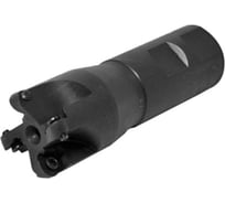 Фреза концевая Русский Инструмент 40 с механическим креплением круглых пластин, RD.. 1204 Z=4 ц/х Weldon=32 СОЖ AE400-R040.060.04.W32.C NOX ri.301.26