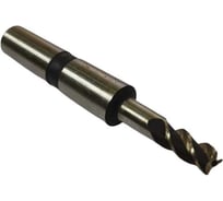 Фреза концевая ИНКО 10 к/х 3-х пер. HSS 00000024299