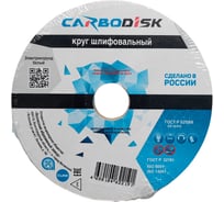 Круг шлифовальный CARBODISK ОАО Волжский абразивный завод 1 125х20х32 25А F60 K 7 V 5350 УП-00275211