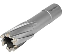 Фреза по металлу ELITECH 22х55мм Weldon 19мм TCT 1110.009900 205060