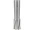 Фреза по металлу ELITECH 22х55мм Weldon 19мм TCT 1110.009900 205060 2