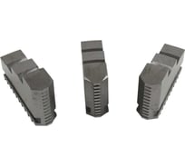 Кулачки Pristis к патрону токарному прямые цельные ф500, 3 шт 3260690272461