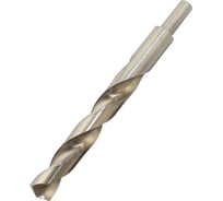 Сверло TLX d 20,0 ц/х Р6АМ5 d хвостовика 13мм 76574