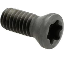 Винт GARWIN TL60M3.5_10 TL60M3.5*10