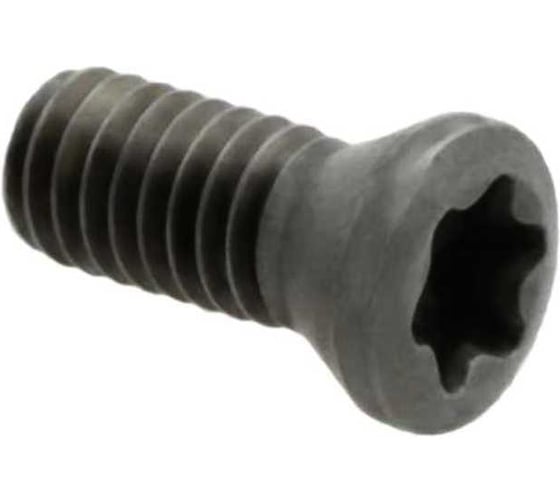 Винт GARWIN TL60M2.5_6.5 TL60M2.5*6.5