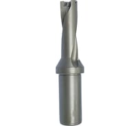 Корпусное сверло DESKAR C40-3D44-137SP14 00-00049970