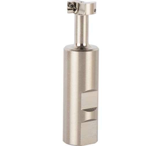 Корпус концевой Т-образной фрезы Debever Machining Solutions D=21, d=25, L=100, z=1, серия Standard DB-S-TM290W25D021Z01MP06