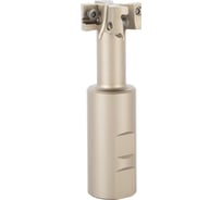 Корпус концевой Т-образной фрезы Debever Machining Solutions D=40, d=32, L=125, z=2, серия Standard DB-S-TM290W32D032Z02MP12