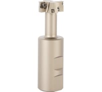 Корпус концевой Т-образной фрезы Debever Machining Solutions D=32, d=32, L=110, z=2, серия Standard DB-S-TM290W32D032Z02MP08