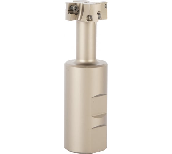Корпус концевой Т-образной фрезы Debever Machining Solutions D=32, d=32, L=110, z=2, серия Standard DB-S-TM290W32D032Z02MP08