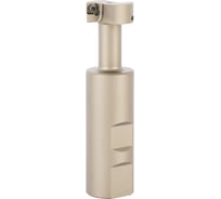 Корпус концевой Т-образной фрезы Debever Machining Solutions D=25, d=25, L=100, z=1, серия Standard DB-S-TM290W25D025Z01MP06