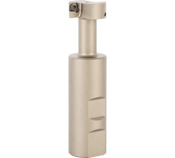 Корпус концевой Т-образной фрезы Debever Machining Solutions D=25, d=25, L=100, z=1, серия Standard DB-S-TM290W25D025Z01MP06