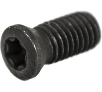 Винт Русский Инструмент М5 TORX T20 WT50120 для механического крепления пластин ri.486.145