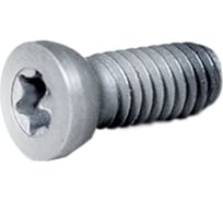 Винт М4 TORX T15 CST4010 для механического крепления пластин Русский Инструмент ri.486.141