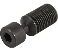 Винт Русский Инструмент VHX1027 ri.486.61