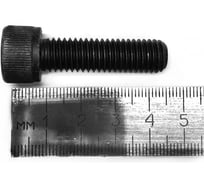 Винт Русский Инструмент М10 внутренний шестигранник 8 WS10035 ri.486.64