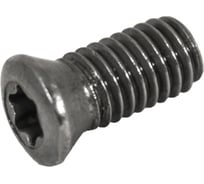 Винт Русский Инструмент М6 TORX T25 M6х14 SWB240 SWB250 для механического крепления пластин ri.486.129