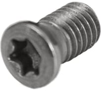 Винт Русский Инструмент М5 TORX T20 M5х10 TR2020 для механического крепления пластин ri.486.136