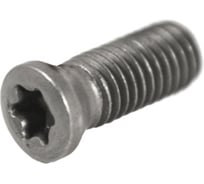 Винт Русский Инструмент М4 TORX T15 L60M4х0.5х11.5 для механического крепления пластин ri.486.104