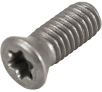 Винт Русский Инструмент М5 TORX T20 M5х12 TR2520 для механического крепления пластин ri.486.120