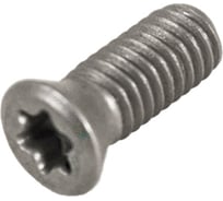 Винт Русский Инструмент М4 TORX T15 M4х10,5 TR1516 для механического крепления пластин ri.486.135
