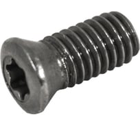 Винт Русский Инструмент М5 TORX T20 M5х10 SWB230 для механического крепления пластин ri.486.138