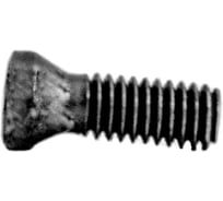 Винт Русский Инструмент М2.5x8 ri.486.43