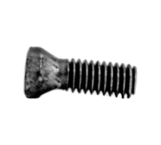 Винт Русский Инструмент М2.5x8 ri.486.43