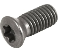 Винт Русский Инструмент М5 TORX T20 CSY5012 для механического крепления пластин ri.486.116